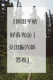 拼出平桥好春光③｜交出振兴新答卷