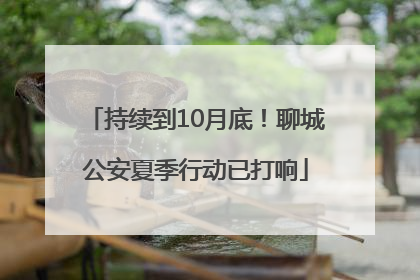 持续到10月底！聊城公安夏季行动已打响