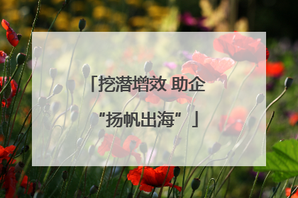挖潜增效 助企“扬帆出海”