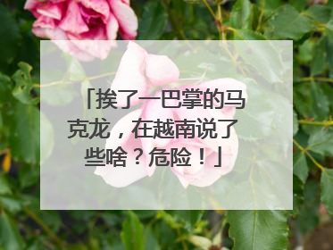 挨了一巴掌的马克龙，在越南说了些啥？危险！