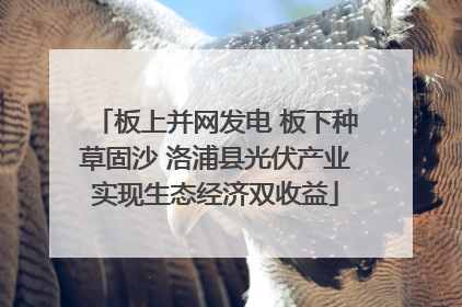 板上并网发电 板下种草固沙 洛浦县光伏产业实现生态经济双收益