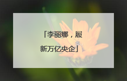 李丽娜，履新万亿央企