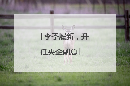 李季履新，升任央企副总