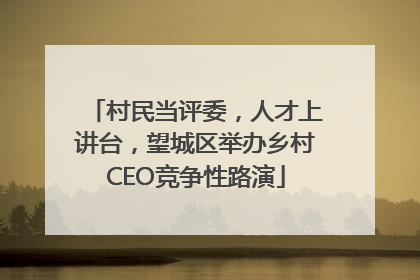 村民当评委，人才上讲台，望城区举办乡村CEO竞争性路演