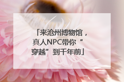 来沧州博物馆，真人NPC带你“穿越”到千年前