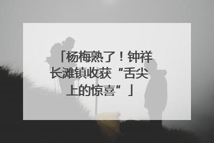 杨梅熟了！钟祥长滩镇收获“舌尖上的惊喜”