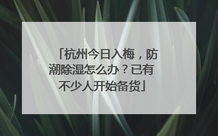 杭州今日入梅，防潮除湿怎么办？已有不少人开始备货