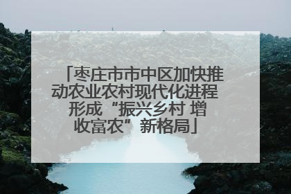 枣庄市市中区加快推动农业农村现代化进程 形成“振兴乡村 增收富农”新格局