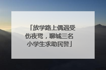 放学路上偶遇受伤夜鹭，聊城三名小学生求助民警