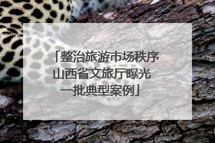 整治旅游市场秩序 山西省文旅厅曝光一批典型案例