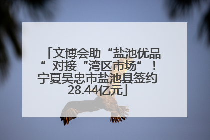 文博会助“盐池优品”对接“湾区市场”！宁夏吴忠市盐池县签约28.44亿元