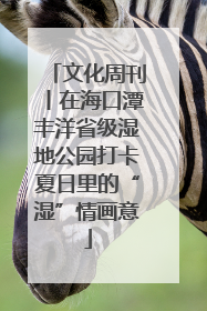 文化周刊丨在海口潭丰洋省级湿地公园打卡夏日里的“湿”情画意