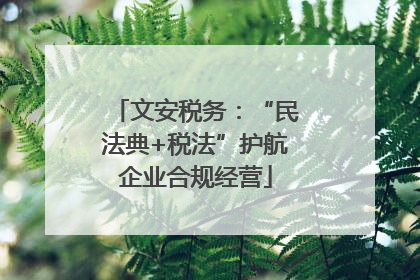 文安税务：“民法典+税法”护航企业合规经营
