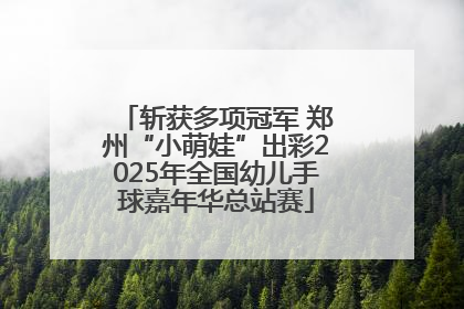 斩获多项冠军 郑州“小萌娃”出彩2025年全国幼儿手球嘉年华总站赛