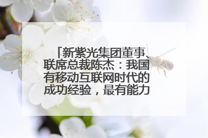 新紫光集团董事、联席总裁陈杰：我国有移动互联网时代的成功经验，最有能力做好AI应用创新