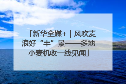 新华全媒+｜风吹麦浪好“丰”景——多地小麦机收一线见闻