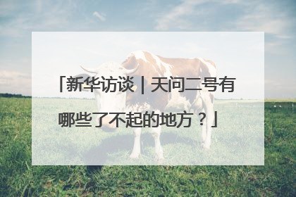 新华访谈｜天问二号有哪些了不起的地方？