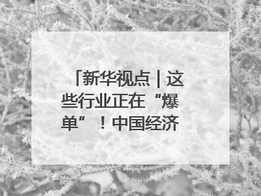 新华视点｜这些行业正在“爆单”！中国经济活力密码