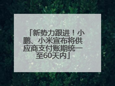 新势力跟进！小鹏、小米宣布将供应商支付账期统一至60天内