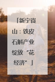 新宁崀山：铁皮石斛产业绽放“花经济”