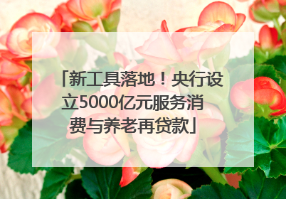 新工具落地！央行设立5000亿元服务消费与养老再贷款