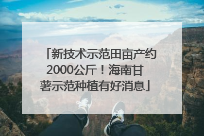 新技术示范田亩产约2000公斤！海南甘薯示范种植有好消息