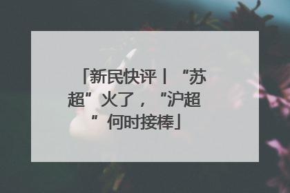 新民快评丨“苏超”火了，“沪超”何时接棒