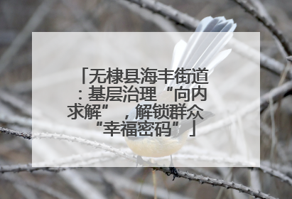 无棣县海丰街道：基层治理“向内求解”，解锁群众“幸福密码”