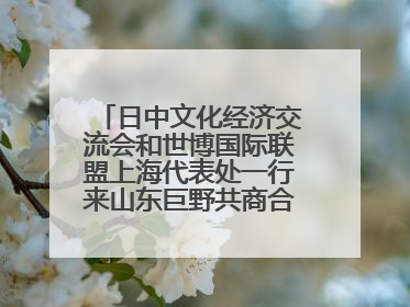 日中文化经济交流会和世博国际联盟上海代表处一行来山东巨野共商合作新机遇