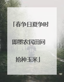 春争日夏争时 即墨农民田间抢种玉米