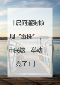 晨间遛狗惊现“毒株”，市民这一举动亮了！