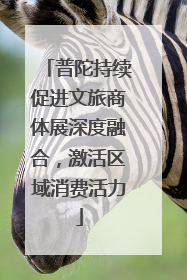 普陀持续促进文旅商体展深度融合，激活区域消费活力