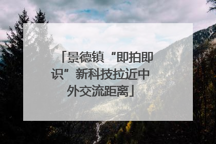 景德镇“即拍即识”新科技拉近中外交流距离