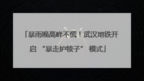 暴雨晚高峰不慌！武汉地铁开启 “暴走护犊子” 模式