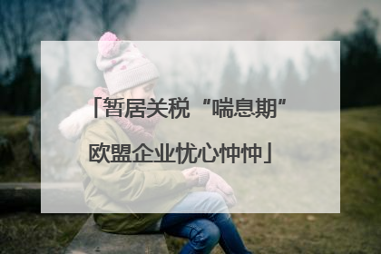 暂居关税“喘息期” 欧盟企业忧心忡忡