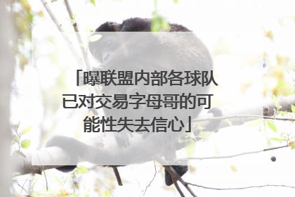 曝联盟内部各球队已对交易字母哥的可能性失去信心