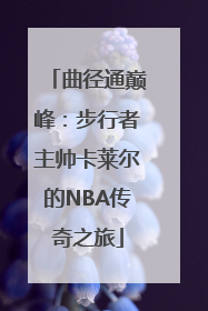 曲径通巅峰：步行者主帅卡莱尔的NBA传奇之旅