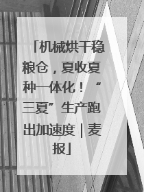 机械烘干稳粮仓，夏收夏种一体化！“三夏”生产跑出加速度｜麦报