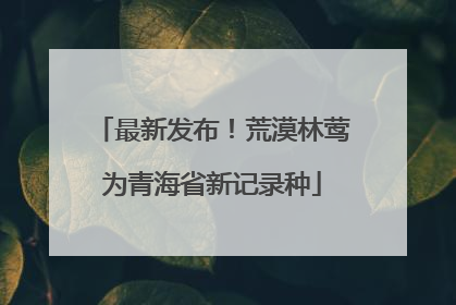 最新发布！荒漠林莺为青海省新记录种