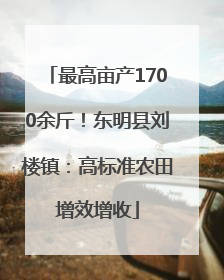 最高亩产1700余斤！东明县刘楼镇：高标准农田增效增收