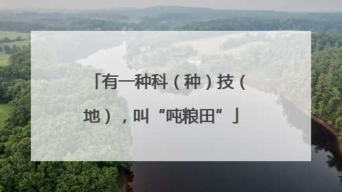 有一种科（种）技（地），叫“吨粮田”
