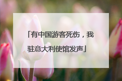 有中国游客死伤，我驻意大利使馆发声