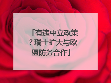 有违中立政策？瑞士扩大与欧盟防务合作