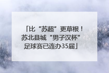 比“苏超”更草根！苏北县城“男子汉杯”足球赛已连办35届