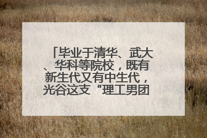 毕业于清华、武大、华科等院校，既有新生代又有中生代，光谷这支“理工男团”为何“出道”？