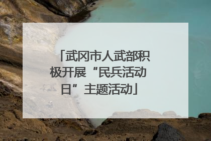 武冈市人武部积极开展“民兵活动日”主题活动