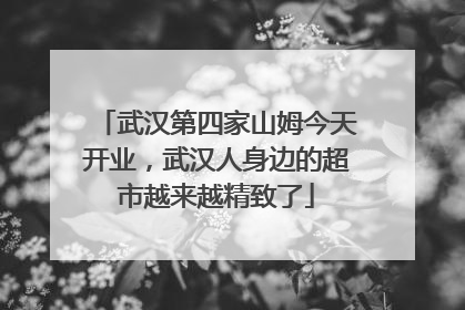 武汉第四家山姆今天开业，武汉人身边的超市越来越精致了