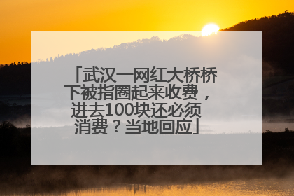 武汉一网红大桥桥下被指圈起来收费，进去100块还必须消费？当地回应