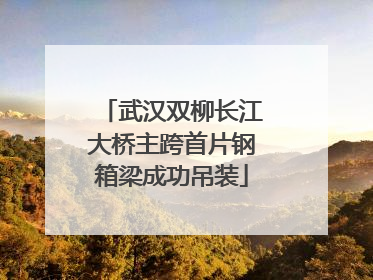 武汉双柳长江大桥主跨首片钢箱梁成功吊装