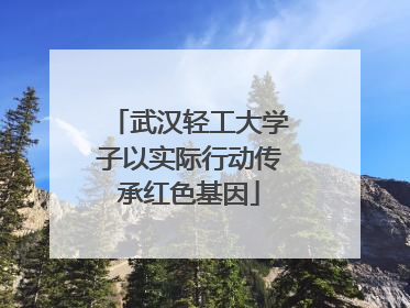 武汉轻工大学子以实际行动传承红色基因